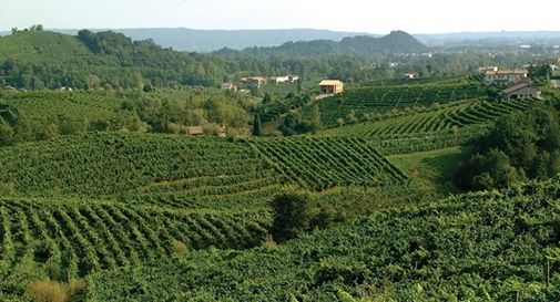 Passa la legge sulla candidatura Unesco per le colline del Prosecco