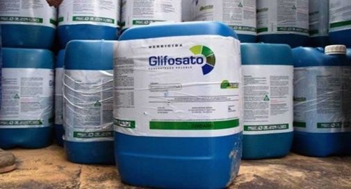 Glifosato