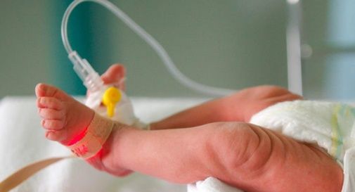neonato