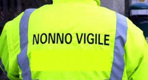 nonni vigile