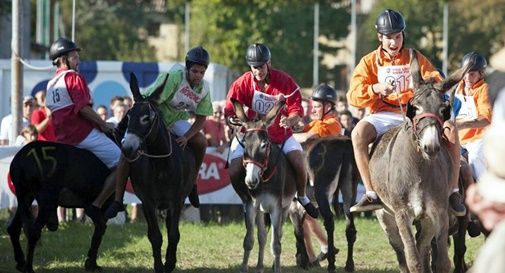 Palio dei Mussi