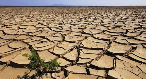 Da Vittorio Veneto un premio per gli studenti più impegnati per il clima