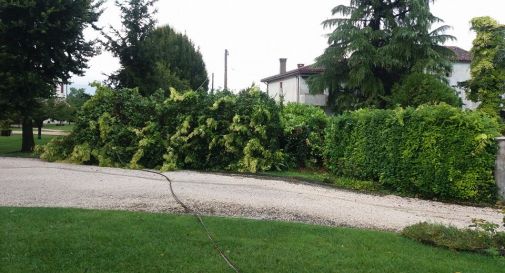 Bomba d'acqua, Vazzola si rialza