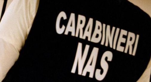 NAS