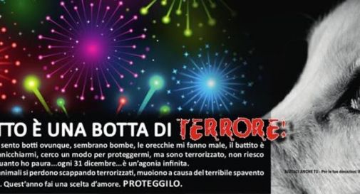 Capodanno senza botti: l’Enpa ringrazia i comuni che li vietano