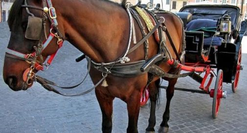 2018: Traforo per le auto, centro città per cavalli e carrozze