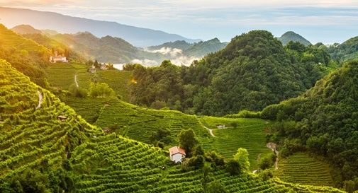 Colline del Prosecco patrimonio Unesco: “Omissioni ed errori nei documenti degli esperti”