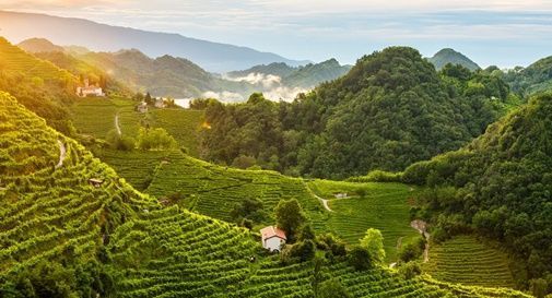 Le colline del Prosecco diventano un (eco)museo