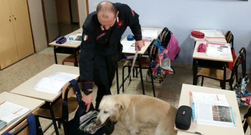 Cane antidroga nelle scuole