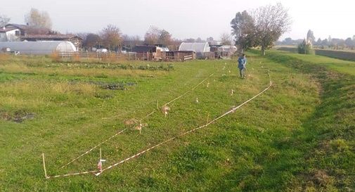 Domenica prossima Mogliano avrà 18 alberi in più