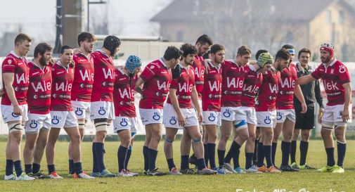 mogliano rugby