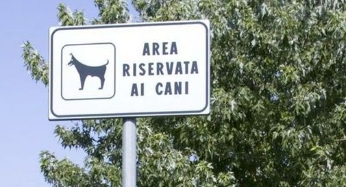 Un'area destinata ai cani: la richiesta dei residenti del quartiere Marocco di Mogliano