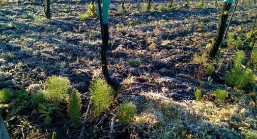 Torna il gelo in regione, termometro fino a -11 gradi 