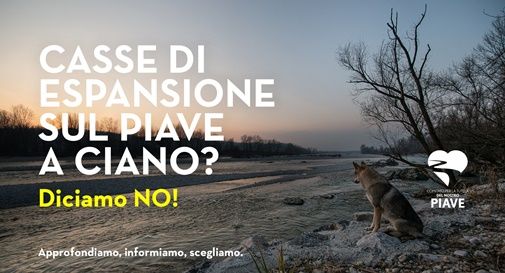 Comitato per la tutela del Nostro Piave