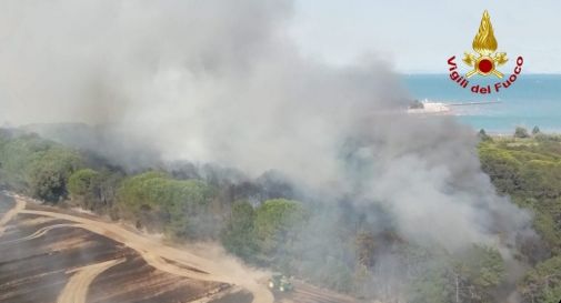 Incendi, sindaco Gorizia: 