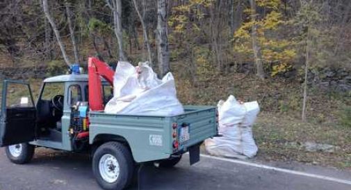 Nelle sacche con rifiuti abbandonati c'era anche la copia del suo documento: denunciato 