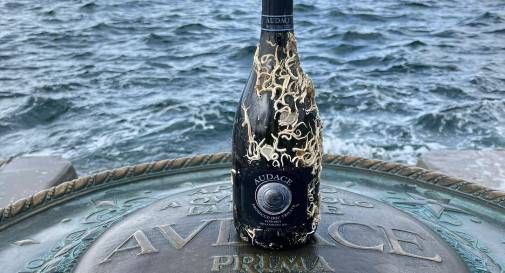 prosecco sotto mare