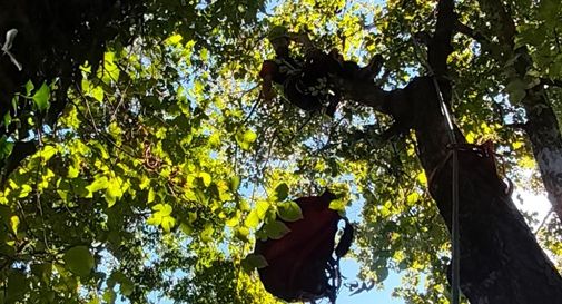 Doppia emergenza per il soccorso alpino, ciclista ferita e parapendista bloccato tra gli alberi