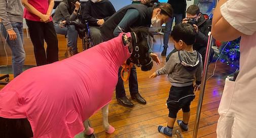 pony con i bambini della Pediatria