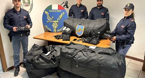 Scoprono un maxi-traffico di bulbi di papavero: autista arrestato e merce sequestrata