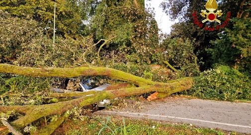 Asolo, quercia secolare si spezza e finisce sull'auto in transito: ferito il conducente