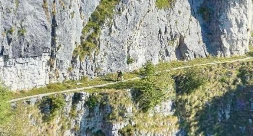Monte Grappa, individuato dall'elisoccorso l'escursionista disperso