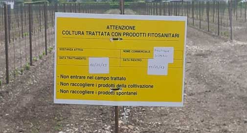 Ecco il primo trattamento con un fitofarmaco nel vigneto vicino all'asilo