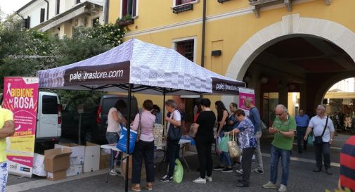 preparativi per la corsa di Motta