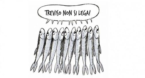 sardine di Treviso 