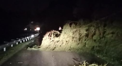 Vento forte e maltempo su Vittorio Veneto: alberi caduti e danni