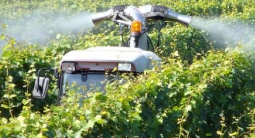 Pesticidi spruzzati vicino al campo di Colle Umberto: mamma non fa allenare il figlio di 10 anni