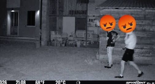 immagini riprese dalle fototrappole