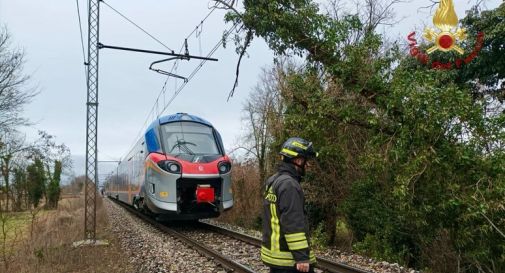 Albero cade per il vento su linea ferroviaria Venezia-Bassano 