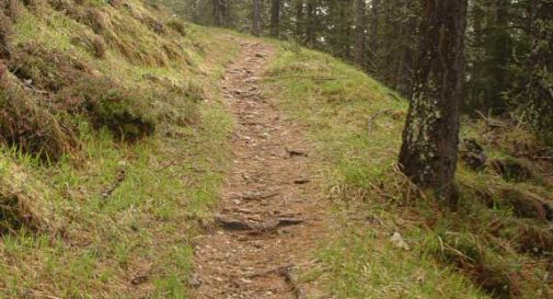 Giovani bloccati dai rovi in montagna, salvati dai vigili del fuoco