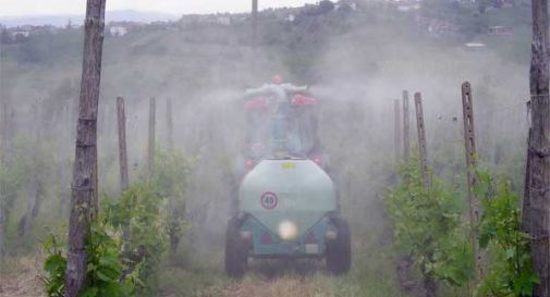 Pesticidi: quali conseguenze per l'uomo?