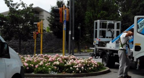 Sicurezza, nuove telecamere a San Zeno e in zona stadio 