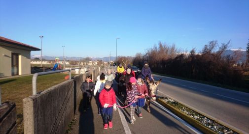 Godega, Carnevale con gli asinelli