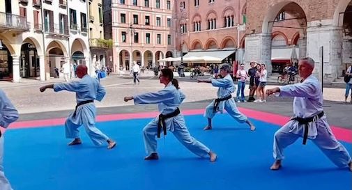 BUDO TREVISO