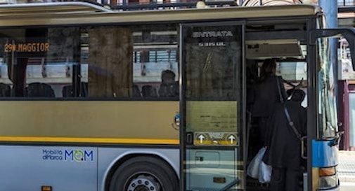 Grave incidente stradale tra due autobus a Treviso: quattro feriti