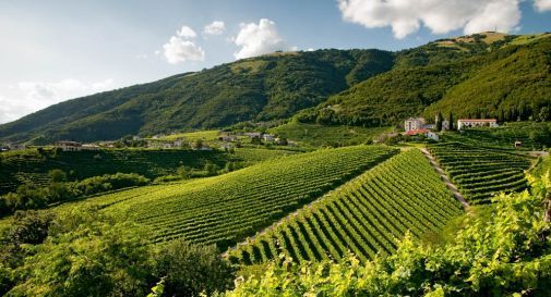 Le colline del Prosecco nel registro dei paesaggi rurali