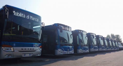 Wi-fi, telecamere di sicurezza e monitor a bordo: ecco i nuovi bus di Mom 