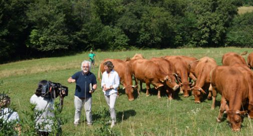 Le telecamere di Rai Uno puntate su Susegana