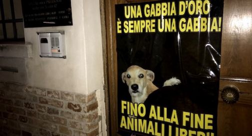 Il parroco mette in palio la cavalla, gli animalisti fanno un blitz contro la Curia