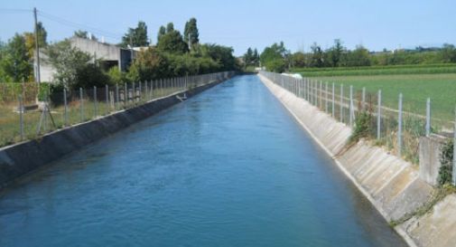 Capriolo cade nel canale Enel, salvato