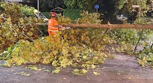 Maltempo a Mogliano: richiesto lo stato di calamità. I cittadini potranno segnalare i danni subiti