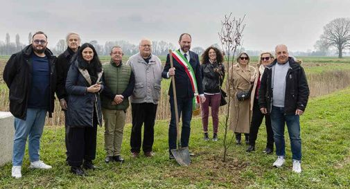 Piantato oggi il primo dei mille alberi del nuovo bosco di Mogliano 