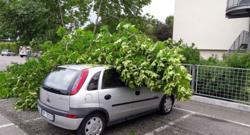 Violentissima tempesta a Oderzo, alberi sulle auto