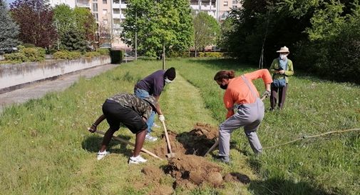 I Ribelli all'Estinzione durante la piantumazione di alberi