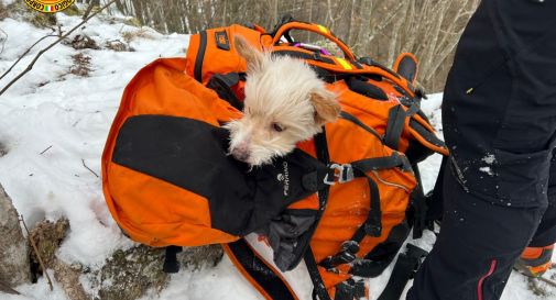 Bloccati nella neve a Miane, recuperata coppia di escursionisti