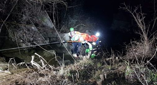 Centrato dalla pianta che stava tagliando: morto boscaiolo